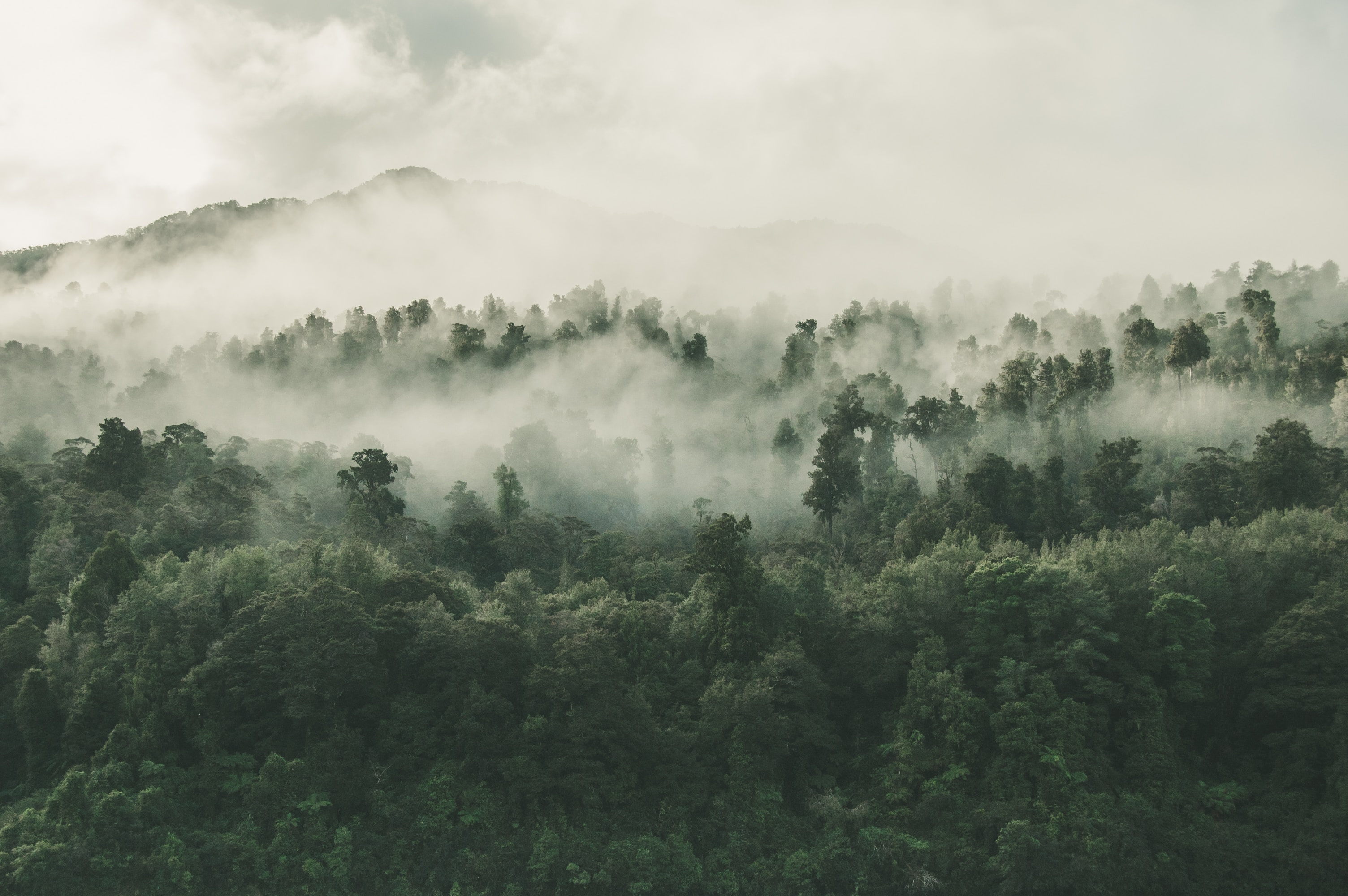 French media giant adds ecological impact to its corporate mission