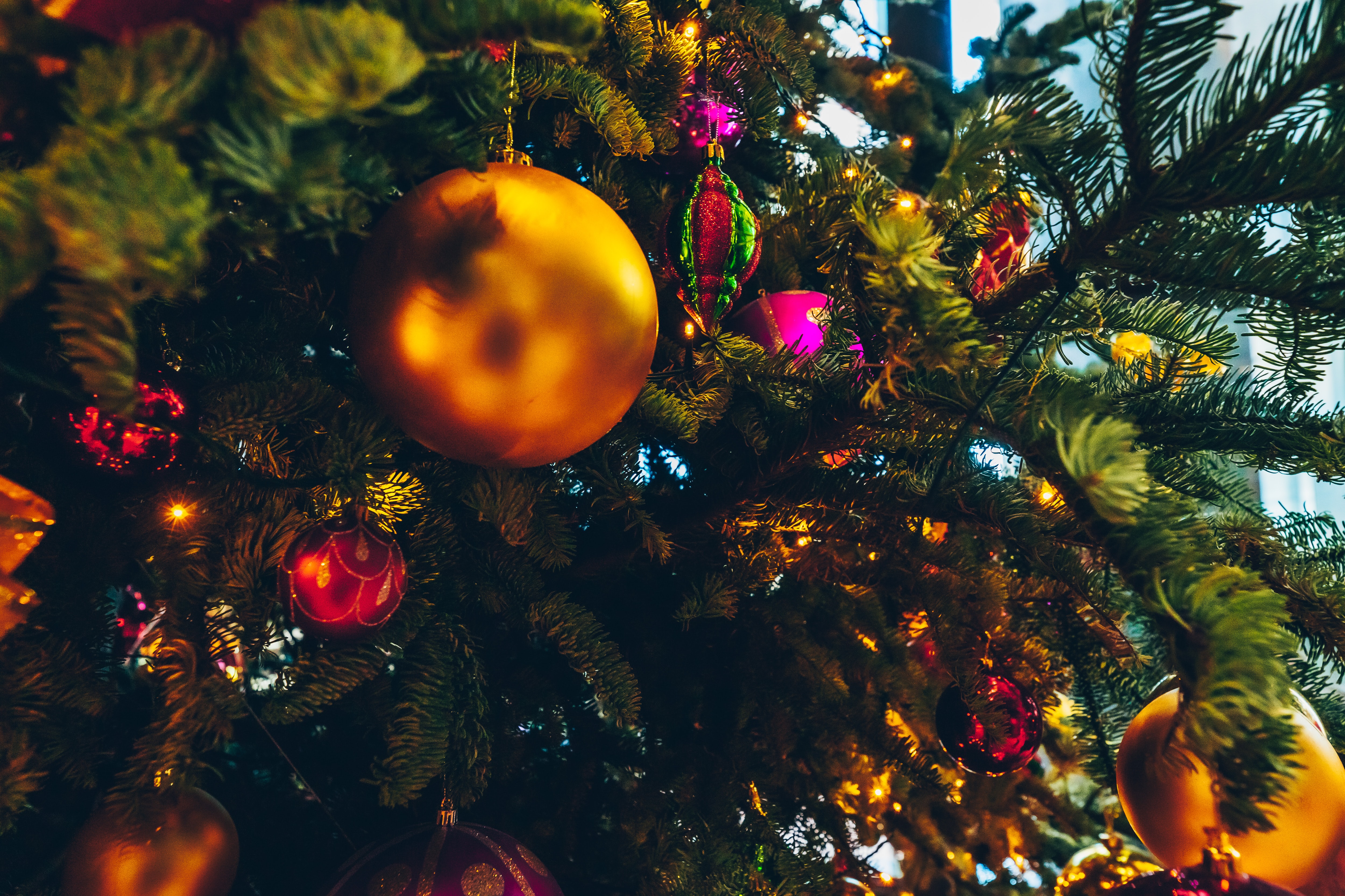 5 most popular stories of the year 2020 from The Fix