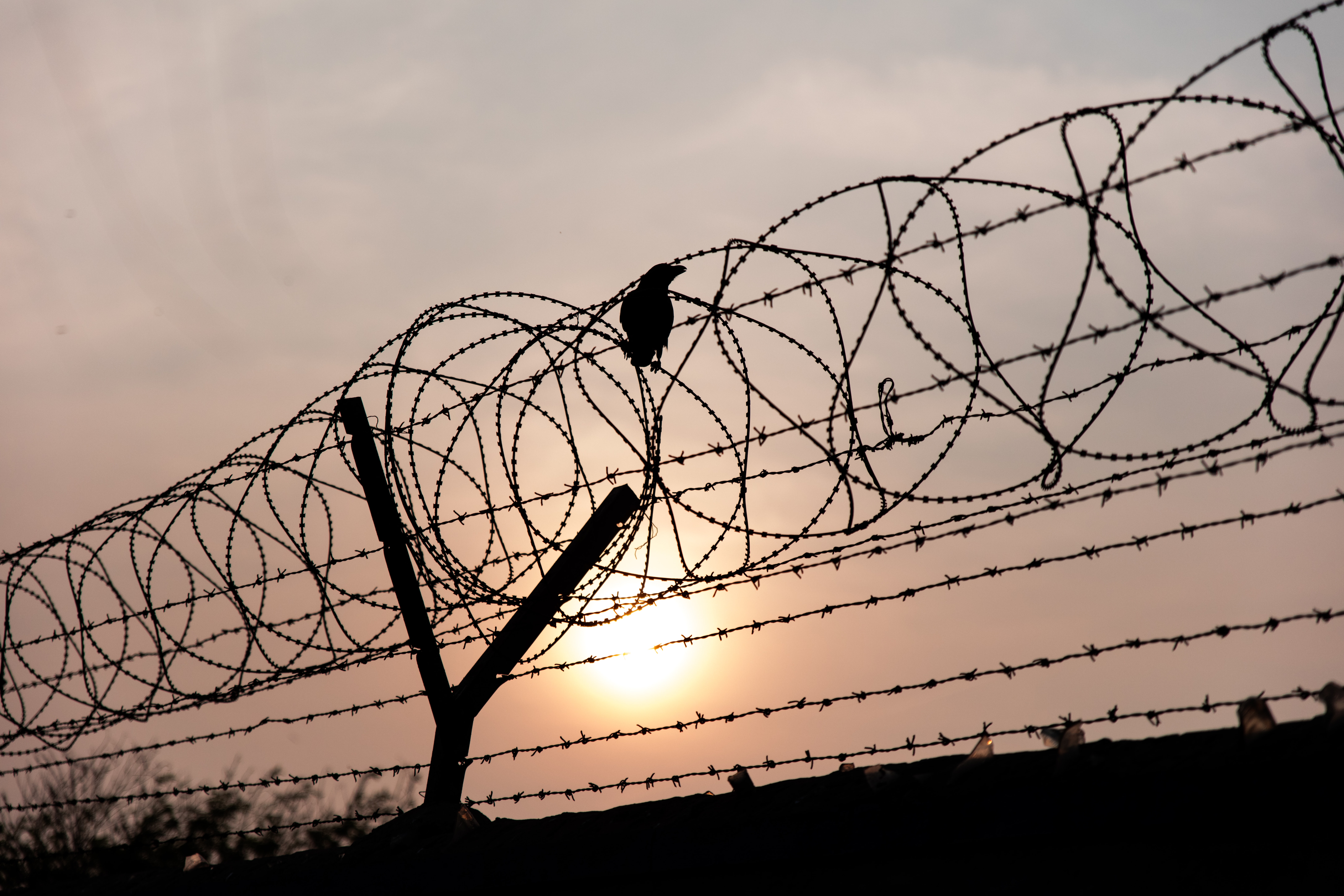 “Press freedom state of emergency” amid unfolding geopolitical crisis